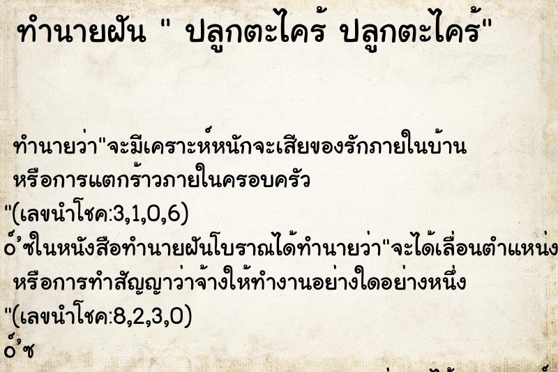 ทำนายฝัน  ปลูกตะไคร้ ปลูกตะไคร้
